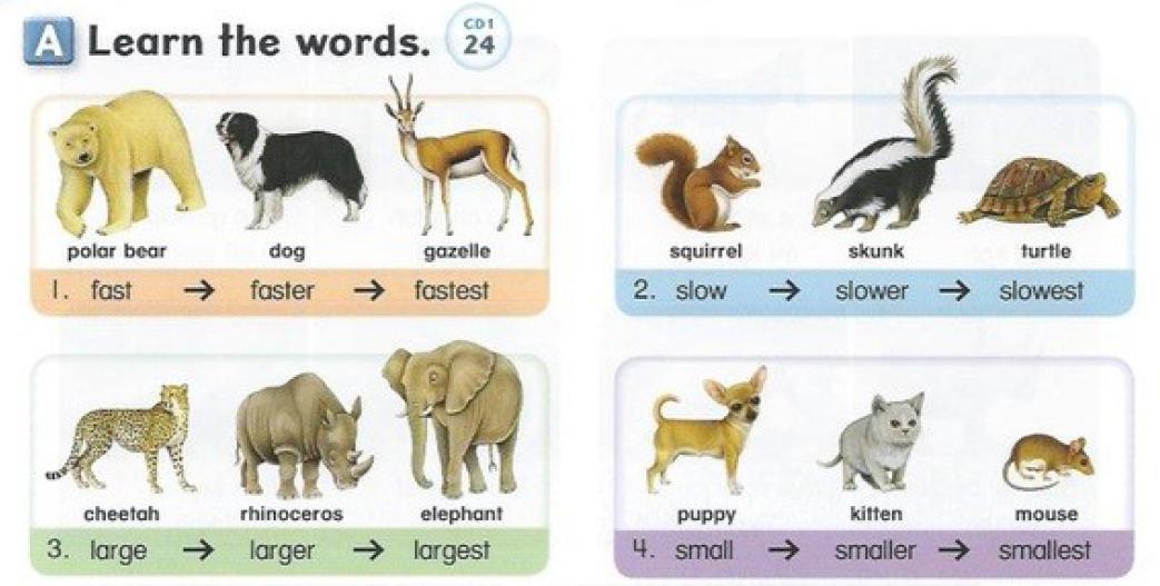 Screenshot (638).png.jpg