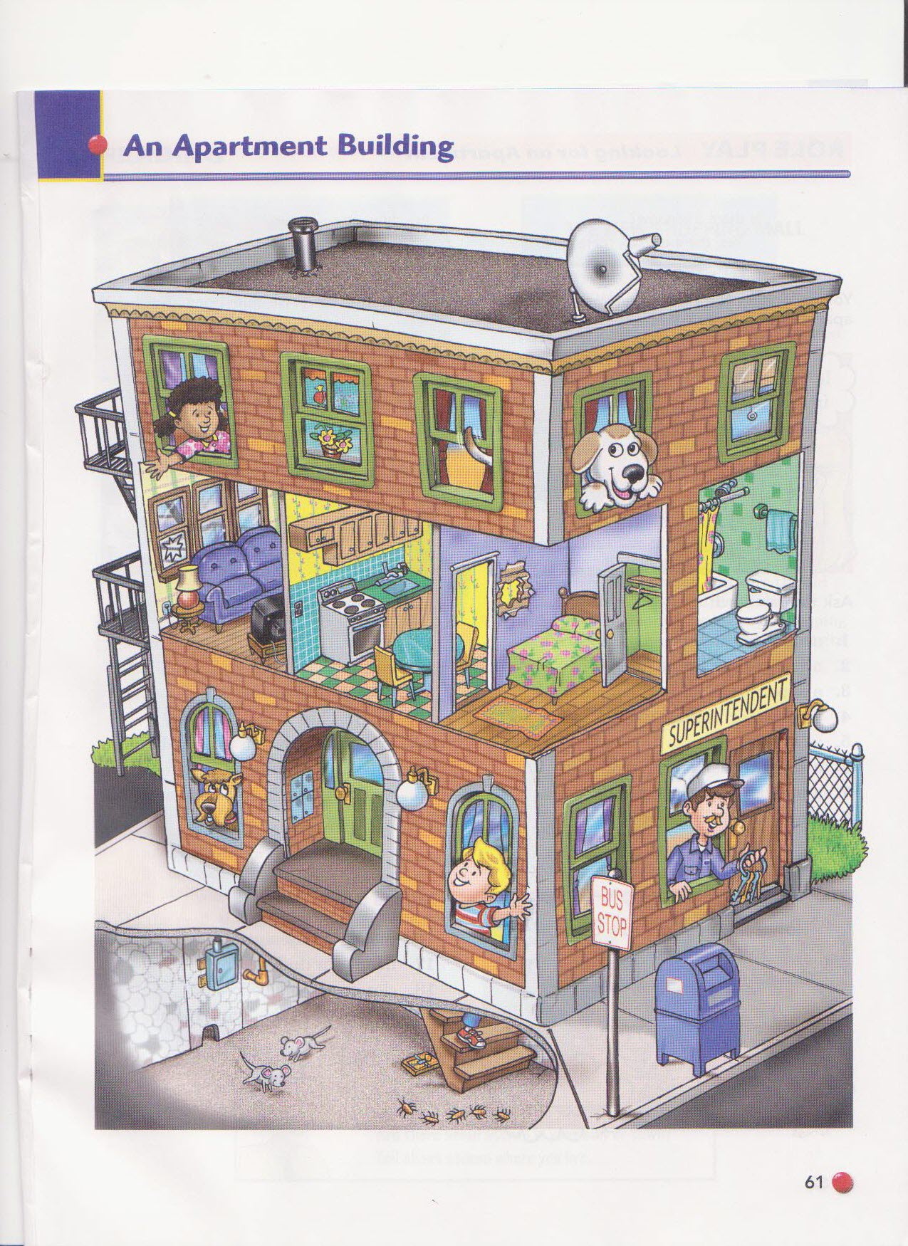 page61.jpg